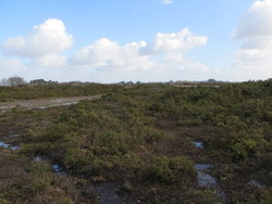 Feb 2014: C11 view eastwards